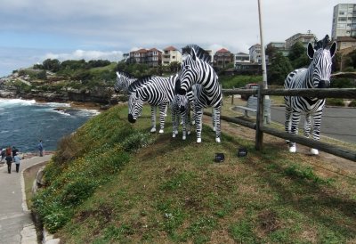 Sculpture by the Sea - Bondi Beach Australia