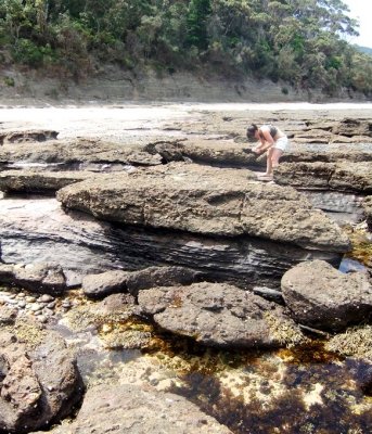 Pebbly Beach