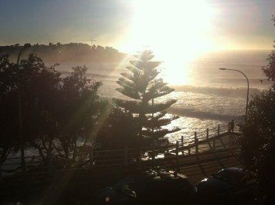 Bondi Beach sunrise - this is at my bus stop before work!  Hard to pull oneself away