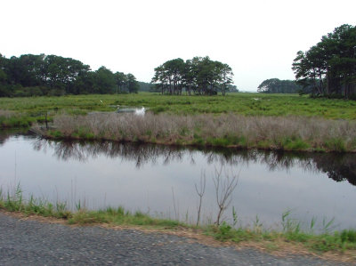 Chincoteague