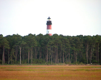 Chincoteague again