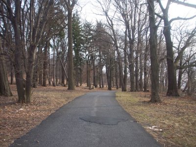 Path through woods