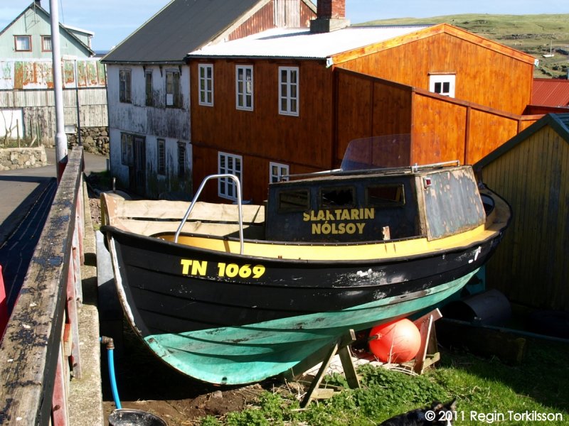 Slaktarin TN 1069