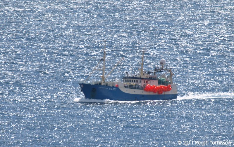 Vesturland VN 307