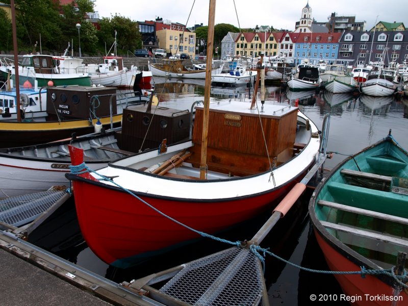 Diddan TN 531