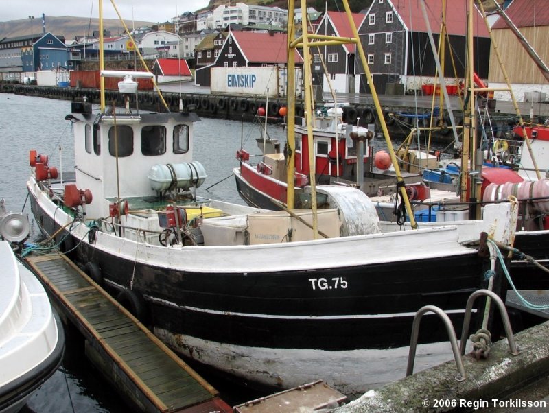 Nemo TG 75