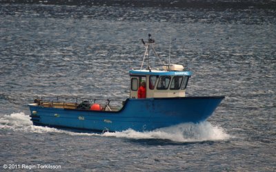 g4/45/767545/3/134199577.rzPQoeoY.jpg
