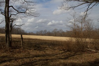 IMG_2878originalweb.jpg