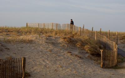 Sand Dune