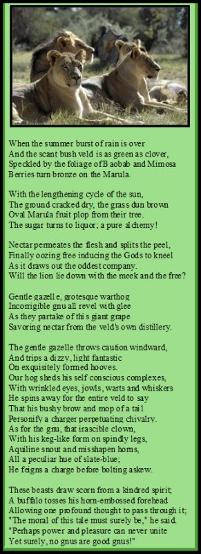 For the Fabled Bush Veld Bacchanalia by Ekim777 