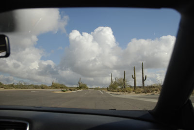 phx6.jpg