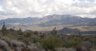 phx7.jpg