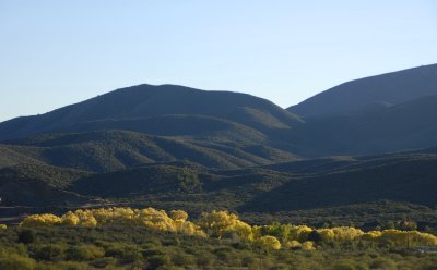 phx9.jpg