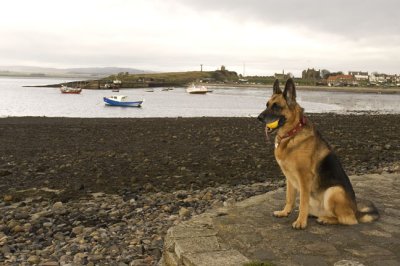 DSC_0003.JPG