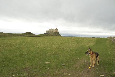 DSC_0019.JPG