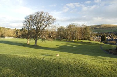 ScottParkGala3.jpg