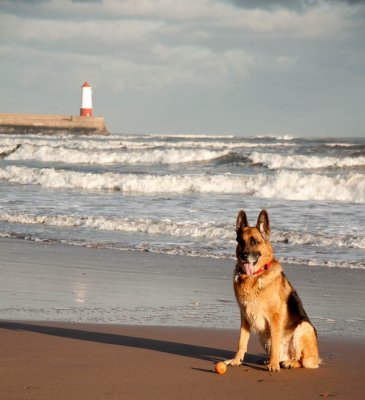 The beach at Spittal near Berwick-upon-Tweed
