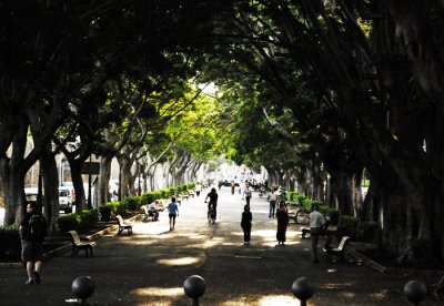 STROLL IN LIGHT z.jpg