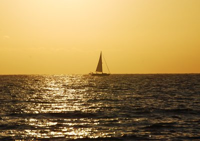 GOLDEN SUNSET SAIL s.jpg