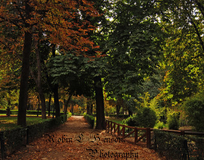 FALL STROLL IN RETIRO PARK SC.jpg