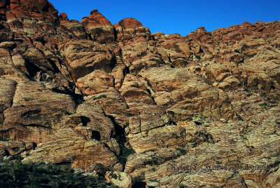 DETAILS OF VEGAS  BACKYARD THE RED ROCK CANYON   SC.jpg