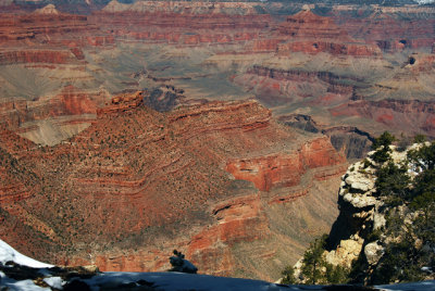 GRAND CANYON 351S.jpg