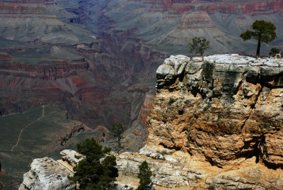 THE TREE LEDGE 430S.jpg
