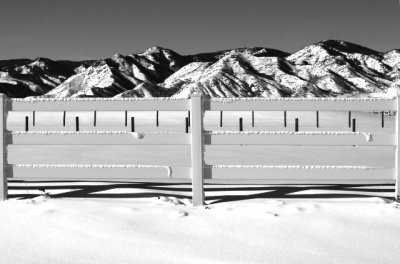 WINTER FENCE LINES