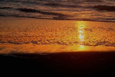 IMG_2888s.jpg