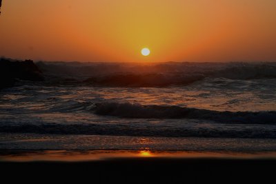 IMG_2890s.jpg