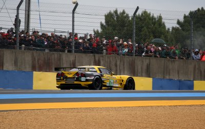 IMG_7946.jpg