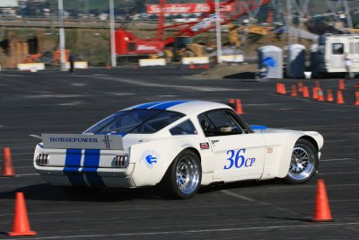 IMG_5255.jpg