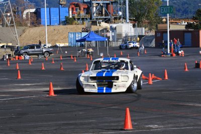 IMG_5264.jpg