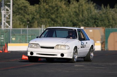 IMG_5445.jpg