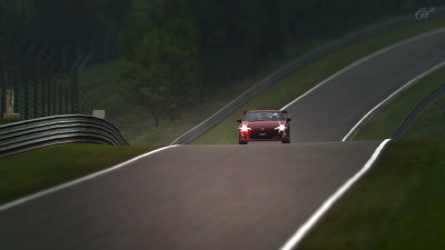 Nrburgring Nordschleife_11.jpg