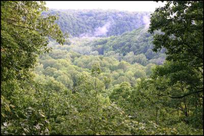 View from Mammoth Cave trail