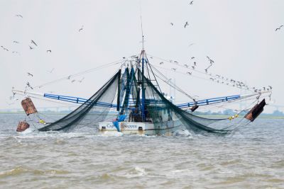 Shrimp Boat