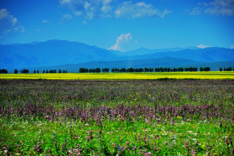 DSC_9868_resize.jpg
