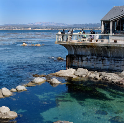 Monterey Bay Aquarium