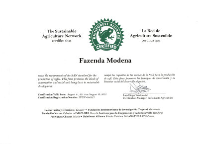Rainforest Alliance Certificate