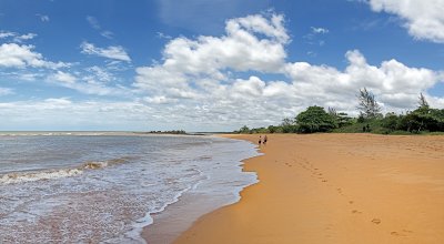 Cocais Pano