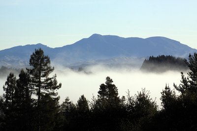 VIew from our rental house - fog lifting in Forestville