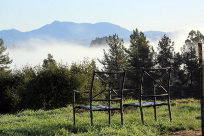 Fog lifting in Forestville