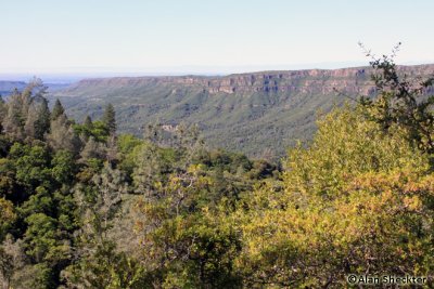 Butte Creek Canyon from Centerville Road, outside of Magalia