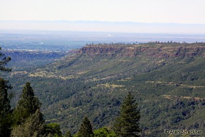 Butte Creek Canyon from Centerville Road, outside of Magalia