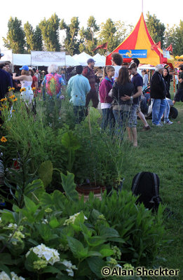 Greenery on the main field