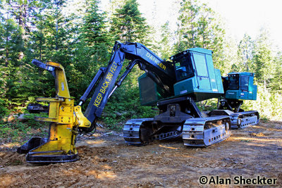 Timberjack 608L tree feller-bunchers, off Powelton Road above Stirling City - serious forestry equipment!