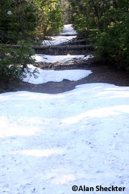 Patches of snow on June 26 between Inskip and Butte Meadows