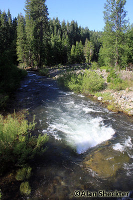 Swift-running Butte Creek between Butte Meadows and Jonesville