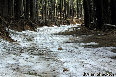Snow in the cold road bed of Humboldt Road on June 26; I turned back here